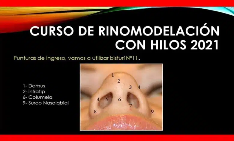 CURSO DE RINOMODELACION CON HILOS 2021 ONLINE Curso
