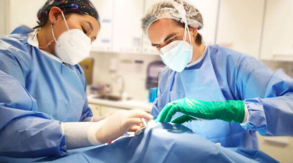 Cirugía dermatológica técnicas para tratar la piel operando